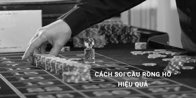 Cách soi cầu rồng hổ hiệu quả và kinh nghiệm từ cao thủ Hi88 2024