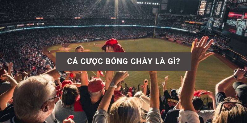 cá cược bóng chày