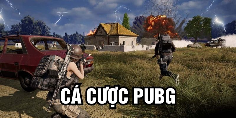 Cá cược PUBG tại Hi88 hướng dẫn và kinh nghiệm đặt kèo chi tiết 2025