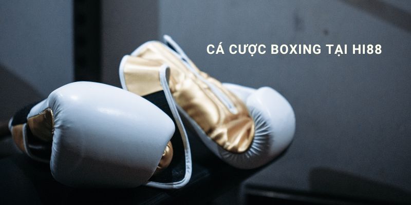 Cá cược boxing online tại Hi88 cùng kinh nghiệm đặt cược hiệu quả 2025