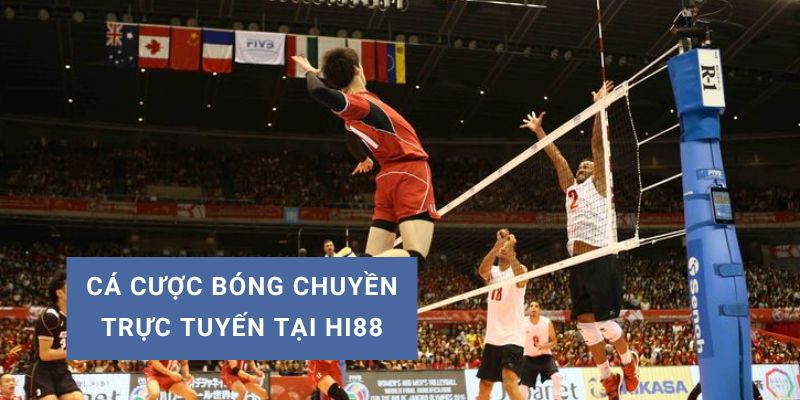 Cá cược bóng chuyền trực tuyến tại Hi88 và chiến thuật thắng cược hiệu quả