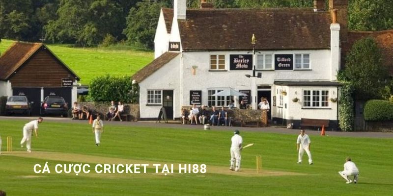 Cá cược cricket online tại Hi88 và chiến thuật đặt cược hiệu quả nhất