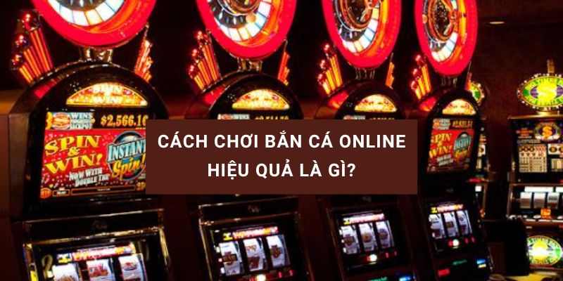 cách chơi bán cá online hiệu quả