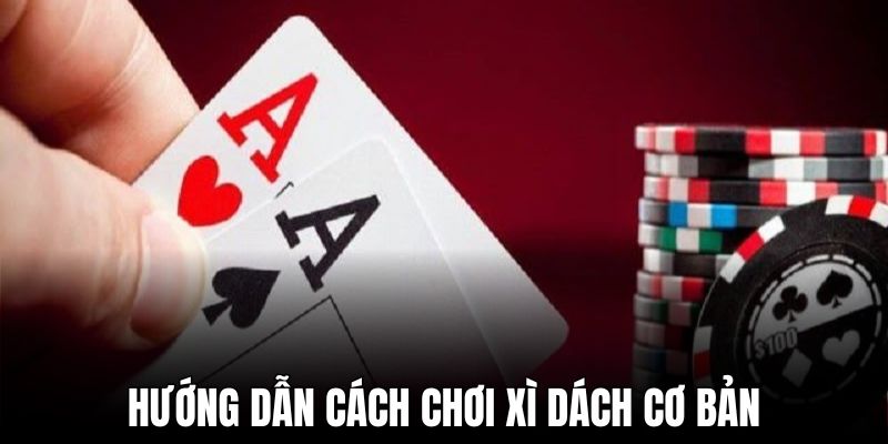 Cách chơi xì dách cơ bản từ A đến Z newbie cần biết