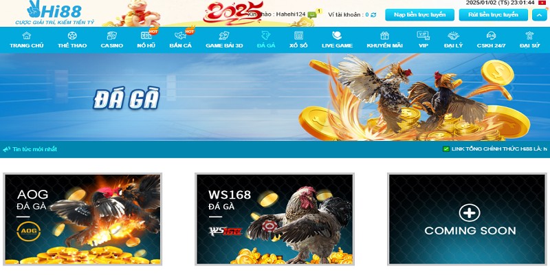 Luật chơi đá gà tại Hi88