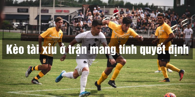 một số loại kèo không nên cược
