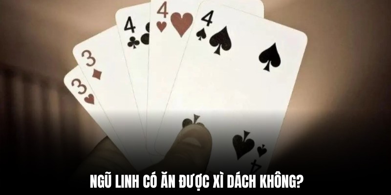 Khám phá chi tiết về ngũ linh có ăn được xì dách không
