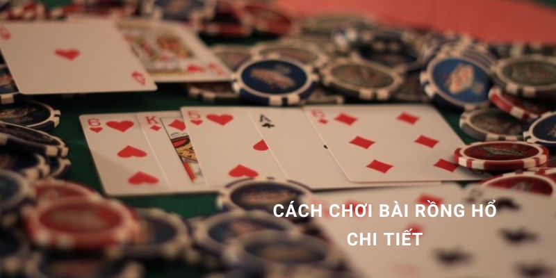 Cách chơi bài rồng hổ chi tiết và mẹo thắng lớn tại Hi88 2024