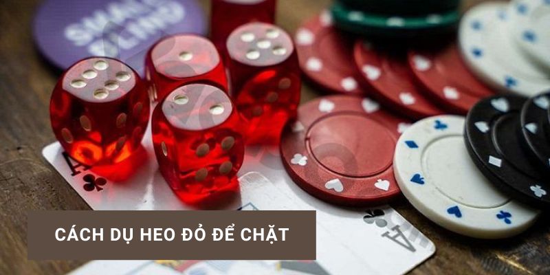 Cách dụ heo đỏ để chặt hiệu quả và chiến thuật chơi Tiến Lên tại Hi88