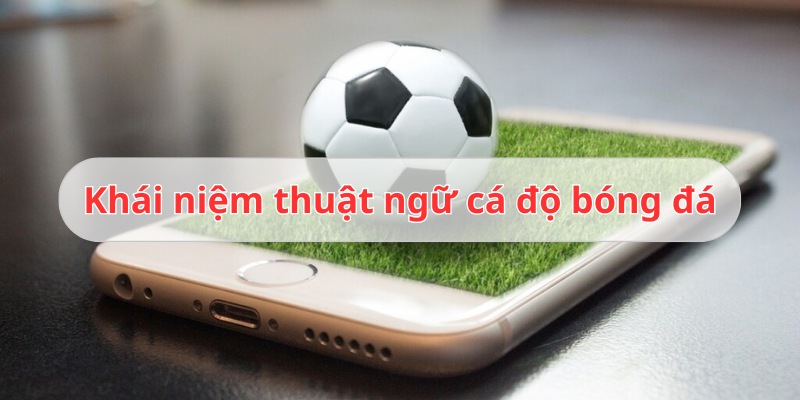 Tổng hợp thuật ngữ cá độ bóng đá dành cho anh em cược thủ