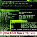 Giới thiệu các tool hack tài xỉu miễn phí, công cụ miễn phí & trả phí chất lượng cao