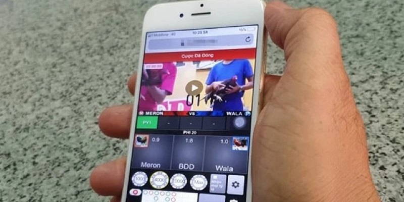 tải game đá gà offline